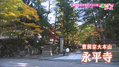 福井県 永平寺グルメ旅 | 石川さん情報LIVE リフレッシュ | 石川テレビ放送